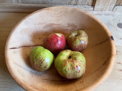 Rossa di Pranzo